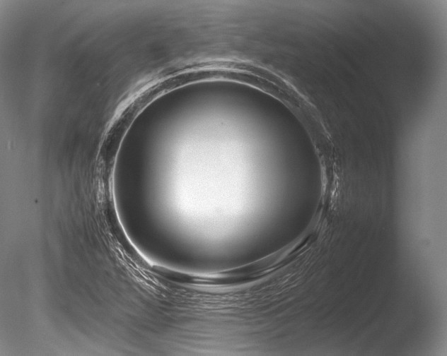 X0000086261360200703291422