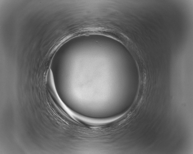 X0000086261361200703291422