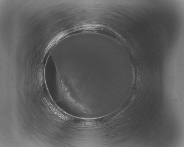 X0000086261362200703291422