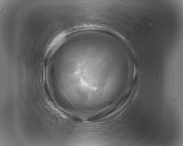 X0000086261365200703291422