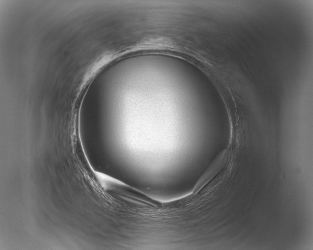 X0000086261366200703291422