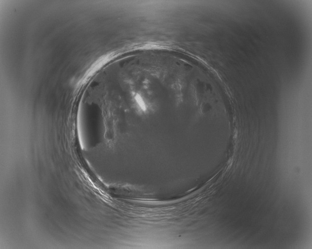 X0000086261367200703291422