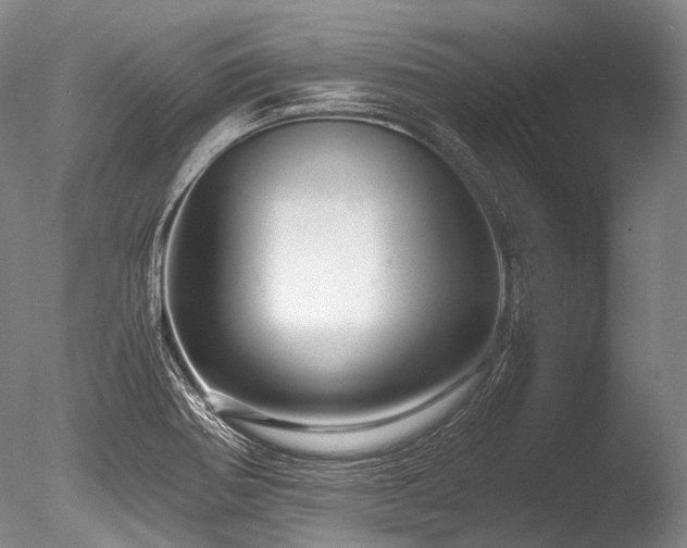 X0000086261370200703291422