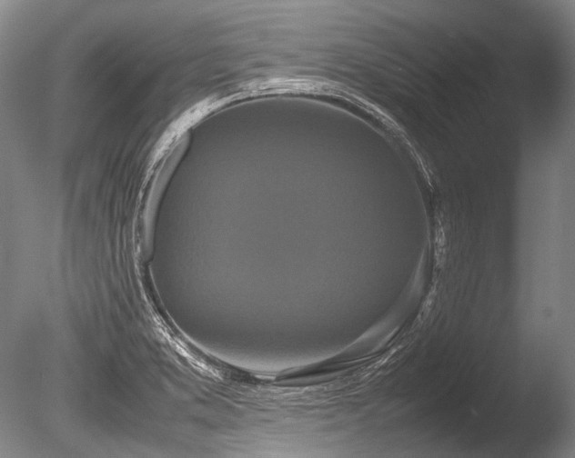 X0000086261373200703291422