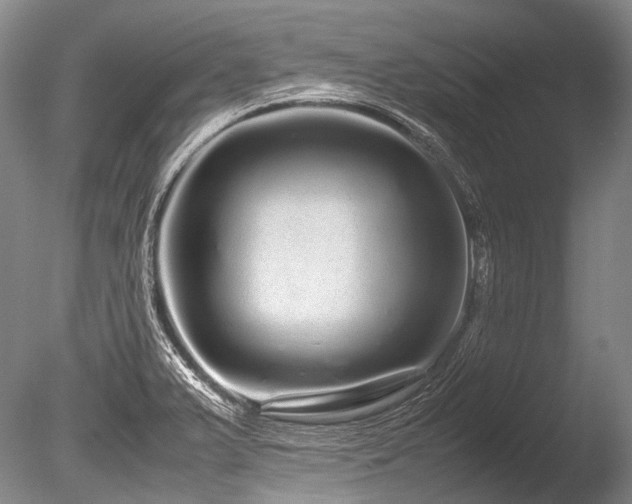 X0000086261375200703291422