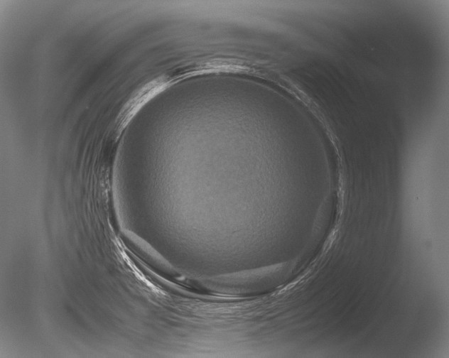 X0000086261377200703291422