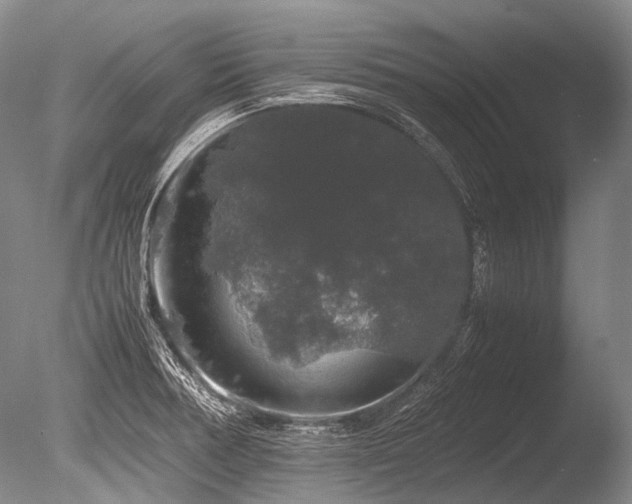 X0000086261378200703291422