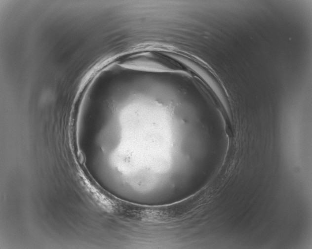 X0000086261379200703291422