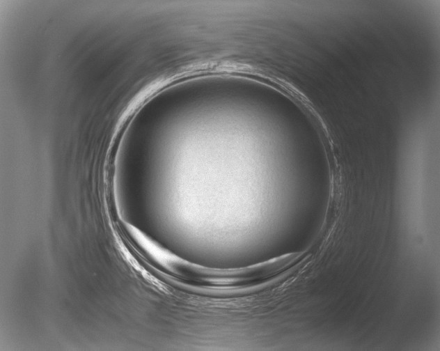 X0000086261381200703291422