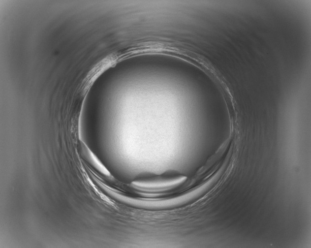 X0000086261385200703291422