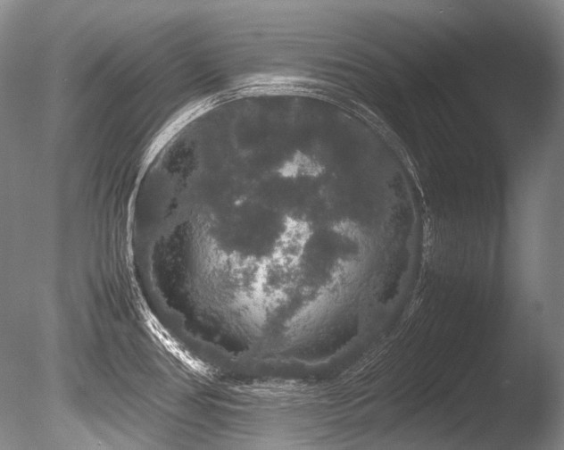 X0000086261386200703291422