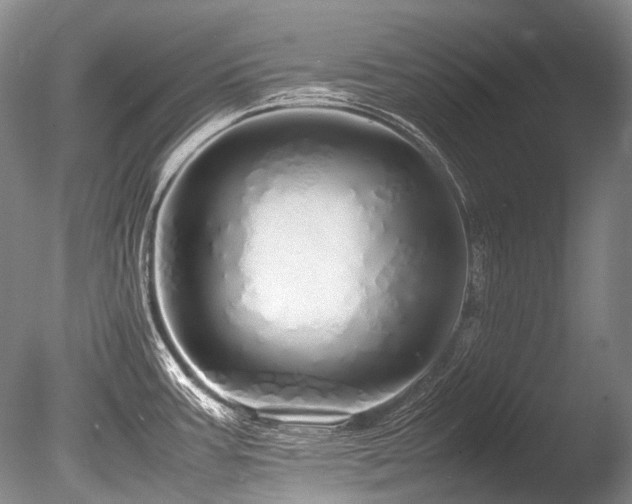 X0000086261387200703291422