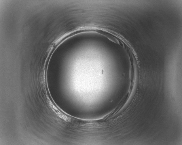 X0000086261388200703291422