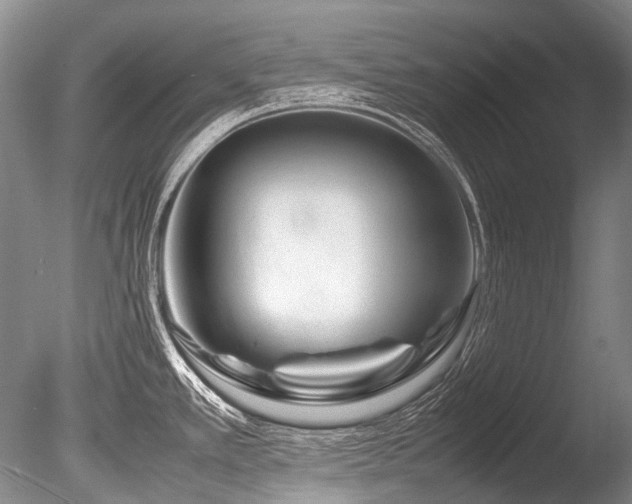 X0000086261389200703291421