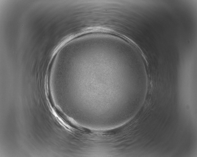 X0000086261391200703291421