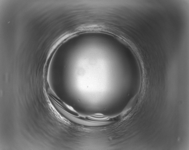 X0000086261392200703291421
