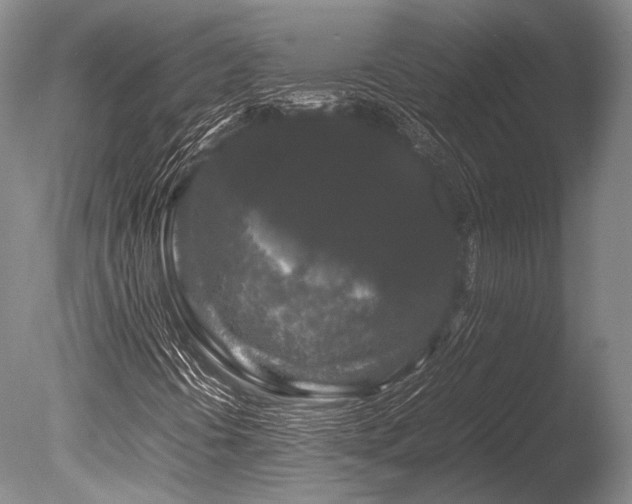 X0000086261394200703291421