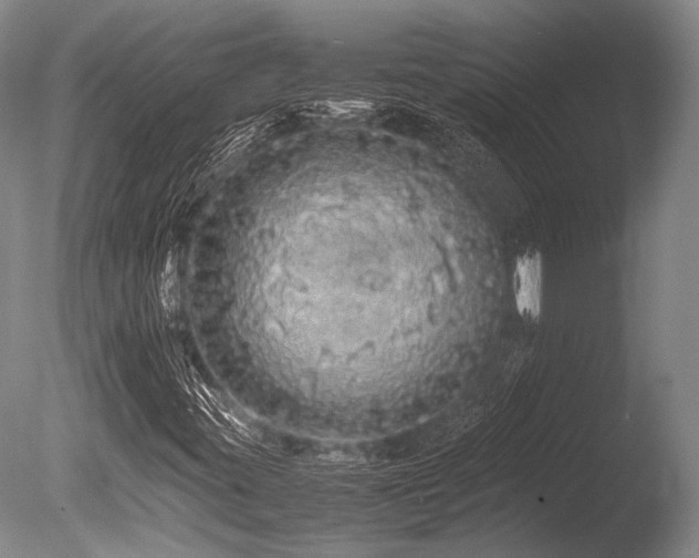 X0000086261395200703291421