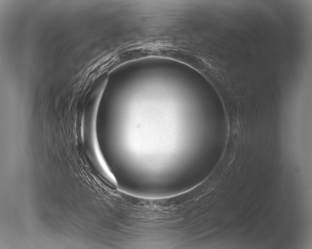 X0000086261398200703291421