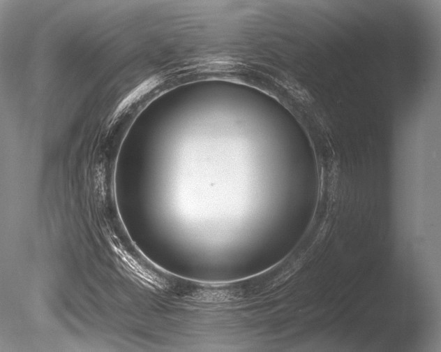 X0000086261402200703291421
