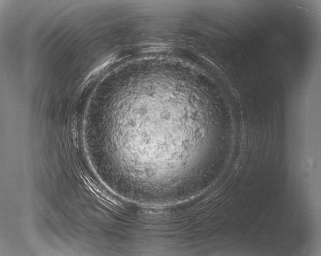 X0000086261403200703291421
