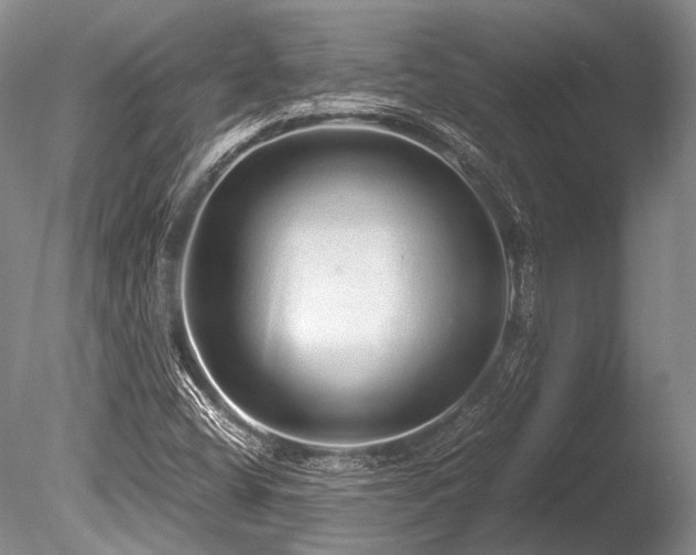 X0000086261404200703291421