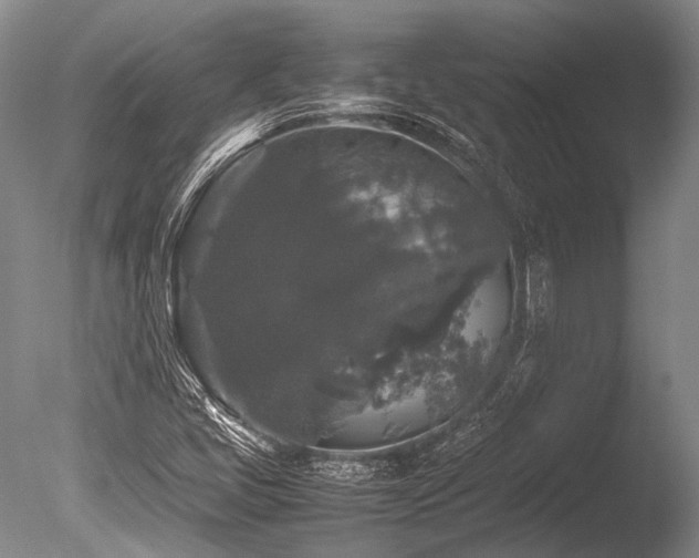 X0000086261405200703291421