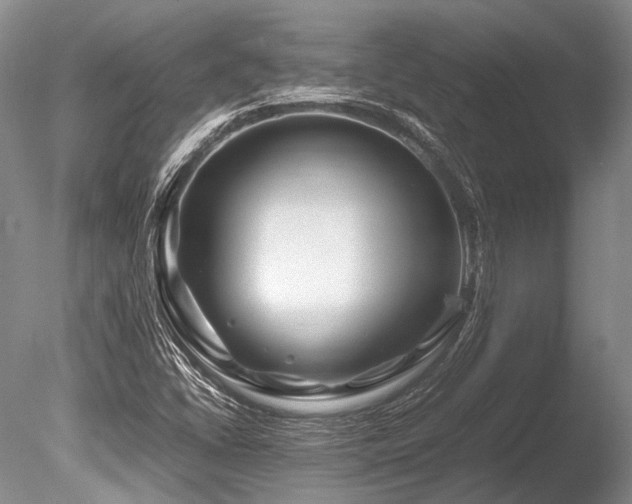 X0000086261406200703291421