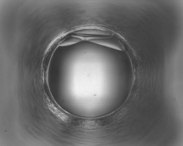 X0000086261408200703291421