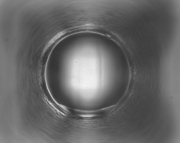 X0000086261410200703291421