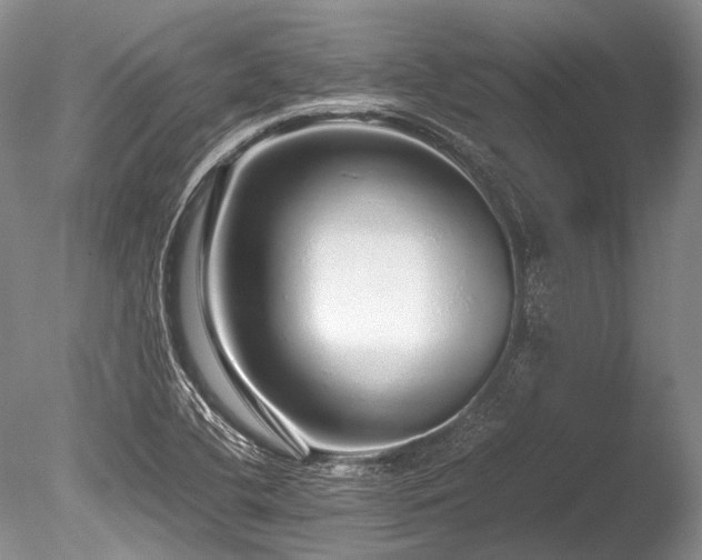 X0000086261412200703291421