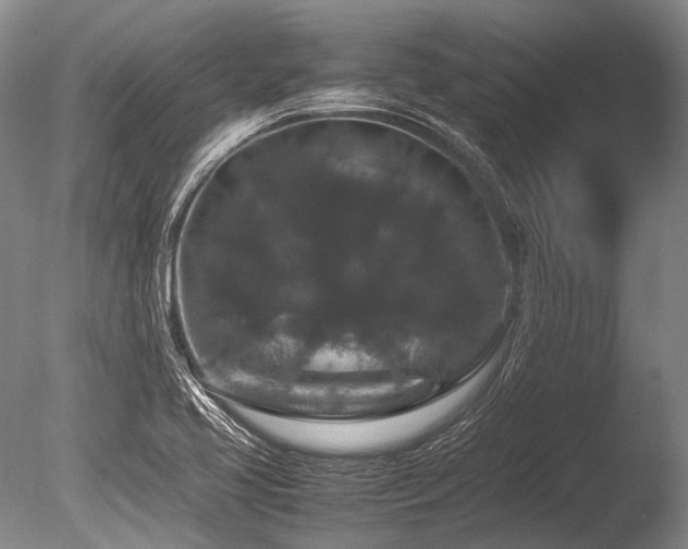 X0000086261413200703291421