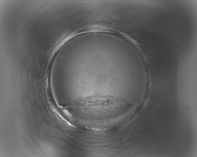 X0000086261415200703291421