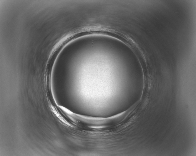 X0000086261416200703291421