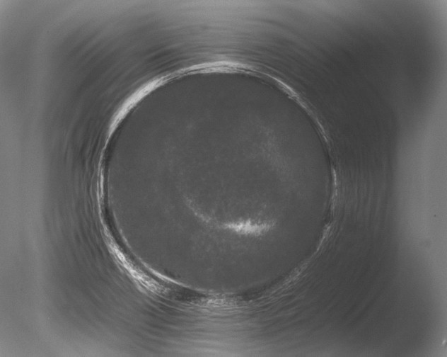 X0000086261418200703291421