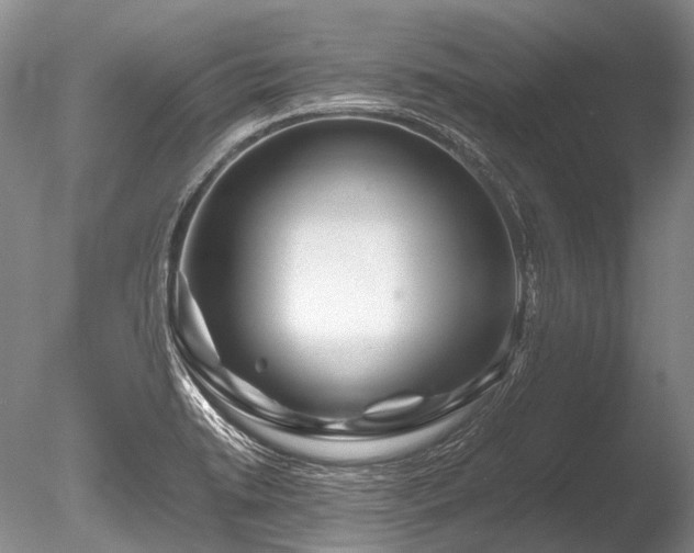 X0000086261422200703291421