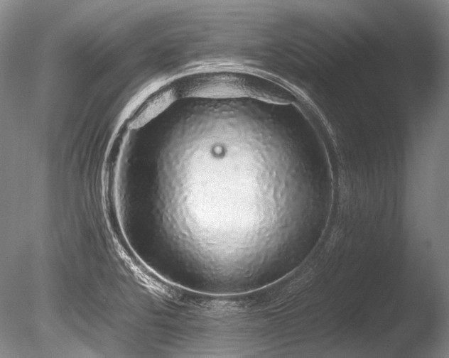 X0000086261424200703291421