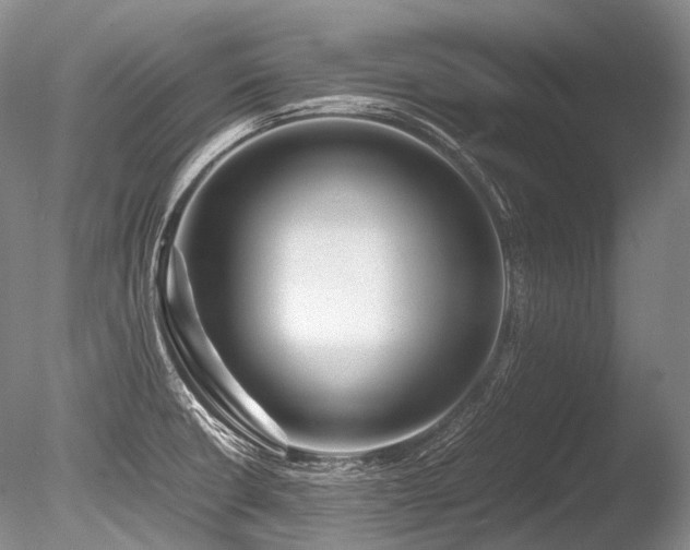 X0000086261426200703291421