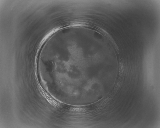 X0000086261427200703291421