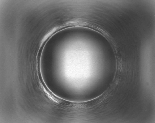 X0000086261430200703291421