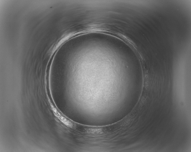 X0000086261431200703291421
