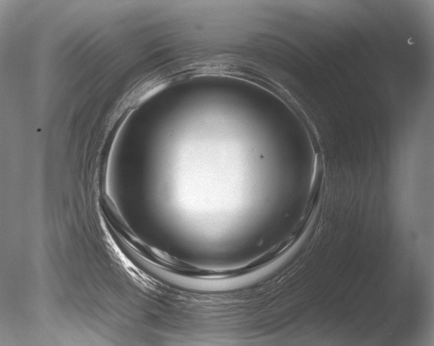 X0000086261434200703291421