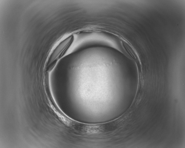X0000086261437200703291421
