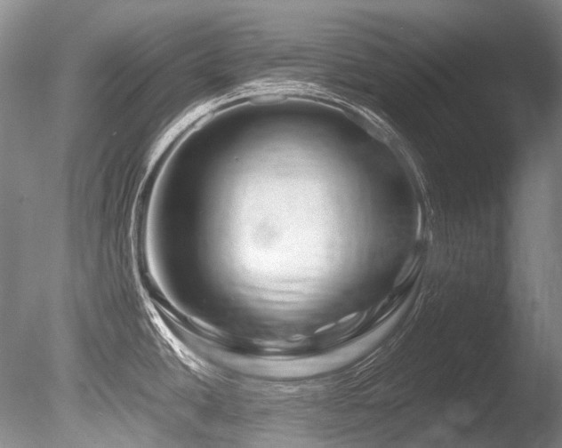 X0000086261438200703291421