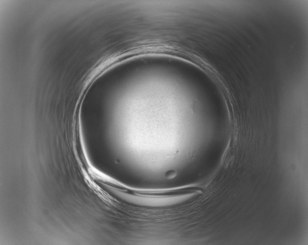 X0000086261439200703291421