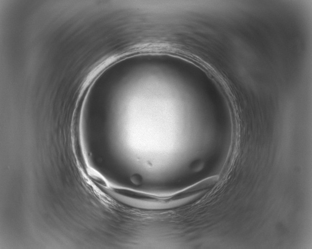X0000086261440200703291421