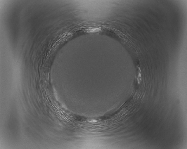 X0000086261441200703291421
