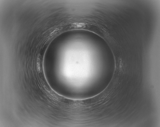 X0000086261442200703291421