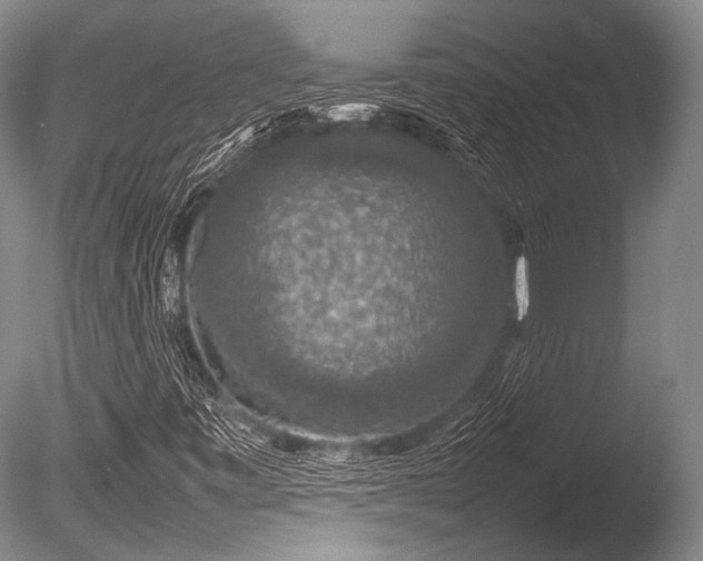 X0000086261443200703291421