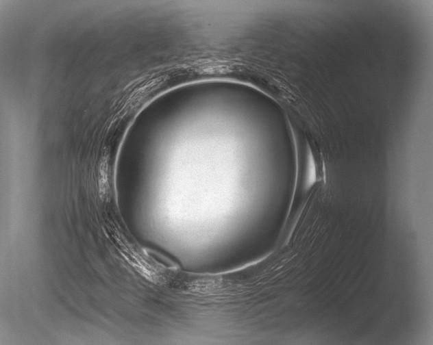 X0000086261444200703291421